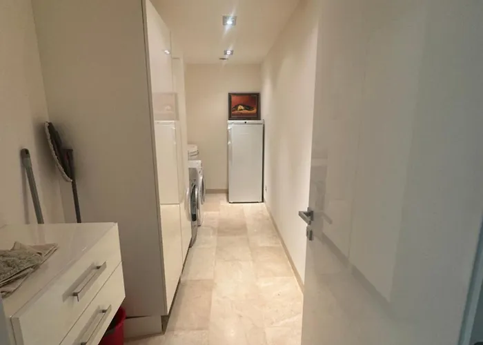 Alicia Maxima * סן-מקסים